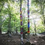 ARTEPARCO: PRESENTATO A PESCASSEROLI OPERA SITE SPECIFIC TOTEMI | Ultime notizie di cronaca Abruzzo