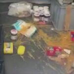 INCURSIONE ORSO IN CAMPO SCOUT A LECCE NEI MARSI: ATTRATTO DAL CIBO NELLE TENDE | Ultime notizie di cronaca Abruzzo