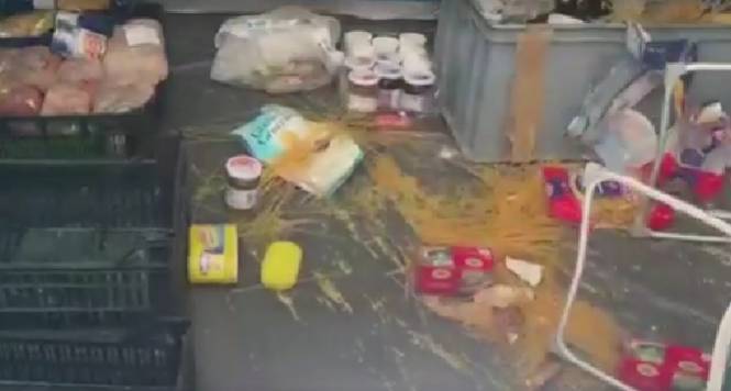 INCURSIONE ORSO IN CAMPO SCOUT A LECCE NEI MARSI: ATTRATTO DAL CIBO NELLE TENDE | Ultime notizie di cronaca Abruzzo