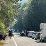 Motociclista deceduto sulla statale 80, indagato il proprietario del cane investito