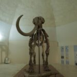 Munda e Mammut, aperture straordinarie di Natale