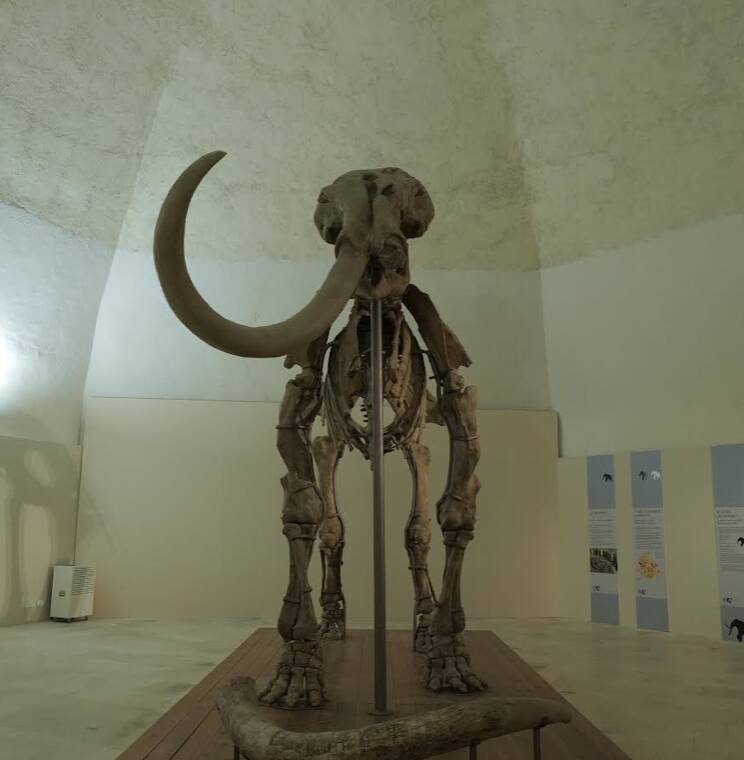 Munda e Mammut, aperture straordinarie di Natale