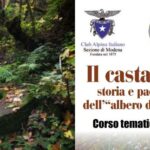 Il castagno: storia e paesaggi dell’albero del pane