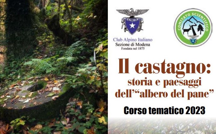 Il castagno: storia e paesaggi dell’albero del pane