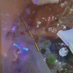 L’AQUILA: “MUSICA ALTA FINO ALLE 2 DI NOTTE”, PROTESTANO I RESIDENTI DI CORSO FEDERICO II | Ultime notizie di cronaca Abruzzo