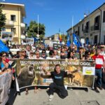 ORSA AMARENA: “MINACCE E PETARDI A MANIFESTANTI”. ANIMALISTI: “GRAVE ASSENZA ISTITUZIONI” | Ultime notizie di cronaca Abruzzo