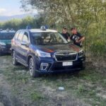 Orsa Amarena uccisa, Proseguono le ricerche dei due cuccioli: si usa anche un drone