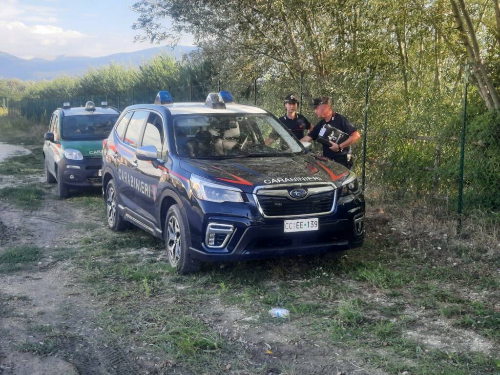 Orsa Amarena uccisa, Proseguono le ricerche dei due cuccioli: si usa anche un drone