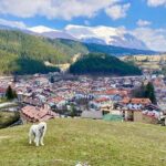 TURISMO ESTIVO A PESCASSEROLI E SULLE ROCCHE: MONTALDI (ASCOM), “CI ASPETTAVAMO DI PIU'” | Ultime notizie di cronaca Abruzzo
