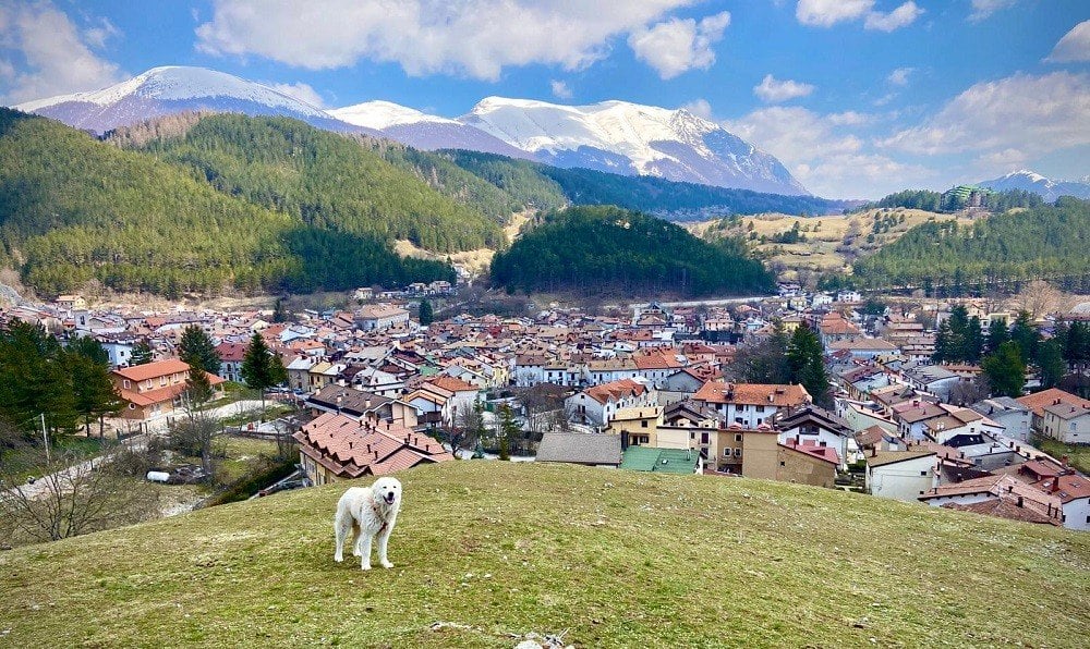 TURISMO ESTIVO A PESCASSEROLI E SULLE ROCCHE: MONTALDI (ASCOM), “CI ASPETTAVAMO DI PIU'” | Ultime notizie di cronaca Abruzzo