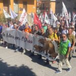 AMARENA: IN CENTINAIA A MANIFESTAZIONE PESCINA, “ORSO MARSICANO PRIORITA’ PER TUTTI” | Ultime notizie di cronaca Abruzzo