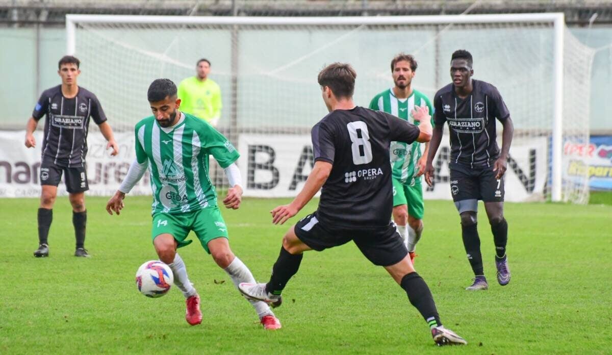 AVEZZANO CALCIO, FERAZZOLI: “NOSTRE SCUSE AI TIFOSI, ORA SOLO VELENO AGONISTICO” | Ultime notizie di cronaca Abruzzo