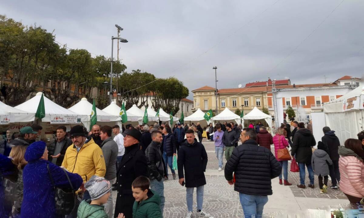 MARSICALAND CONQUISTA L’INTERO TERRITORIO, IN TANTI A PIAZZA RISORGIMENTO PER IL MERCATO DELLA TERRA | Ultime notizie di cronaca Abruzzo