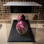 MARSICALAND AD AVEZZANO: MOSTRA D’ARTE CON QUADRI, FOTOGRAFIE E SCULTURE | Ultime notizie di cronaca Abruzzo