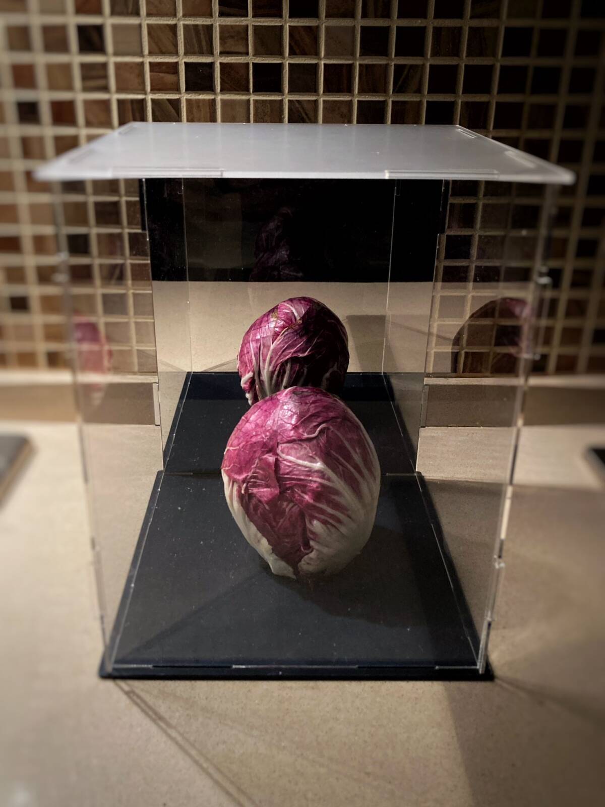 MARSICALAND AD AVEZZANO: MOSTRA D’ARTE CON QUADRI, FOTOGRAFIE E SCULTURE | Ultime notizie di cronaca Abruzzo