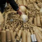 DUE QUINTALI E MEZZO DI BOTTI ILLEGALI IN FURGONE LATTICINI, FERMATO PESCARESE AD ISERNIA | Ultime notizie di cronaca Abruzzo