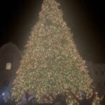 L’AQUILA: SI ACCENDE L’ALBERO DI NATALE 2023 IN PIAZZA DUOMO
