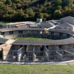 TRASFERIMENTO CANILE SANITARIO DA MARSICA A L’AQUILA: BERARDINETTI, “GOFFE SCUSE DI VERRECCHIA” | Ultime notizie di cronaca Abruzzo