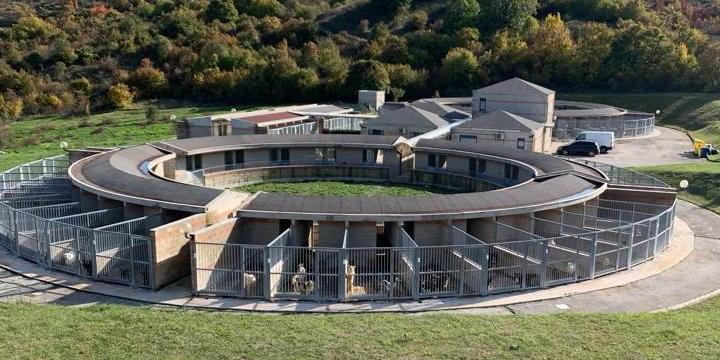 TRASFERIMENTO CANILE SANITARIO DA MARSICA A L’AQUILA: BERARDINETTI, “GOFFE SCUSE DI VERRECCHIA” | Ultime notizie di cronaca Abruzzo