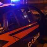 FONDOVALLE SANGRO: AUTO E TIR CONTRO CAVALLI FUGGITI, TRE ANIMALI MORTI | Ultime notizie di cronaca Abruzzo