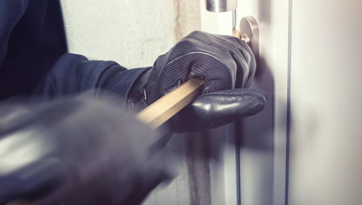 TOPI DI APPARTAMENTO NON SI FERMANO NEANCHE A NATALE, CINQUE FURTI IN VALLE PELIGNA E SUBEQUANA | Ultime notizie di cronaca Abruzzo