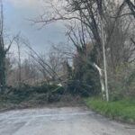 MALTEMPO: STRADE CHIUSE PER CADUTA ALBERI A PRATOLA PELIGNA | Ultime notizie di cronaca Abruzzo