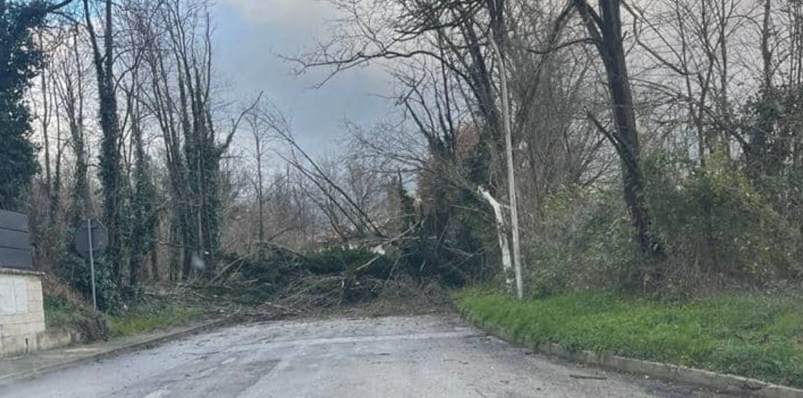 MALTEMPO: STRADE CHIUSE PER CADUTA ALBERI A PRATOLA PELIGNA | Ultime notizie di cronaca Abruzzo