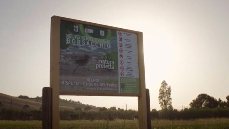 La Regione torna a discutere della riserva del Borsacchio in Commissione