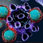 LOTTA AI TUMORI: ALL’AQUILA UN CONVEGNO INTERNAZIONALE CON ESPERTI USA E INGLESI | Notizie di cronaca