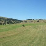 Aree rurali, nuovo bando da 1,5 milioni per miglioramento servizi socio-sanitari, culturali e ricreativi