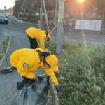 Zona Boccea: i Ministri Volontari di Scientology tornano a bonificare l’areaRoma