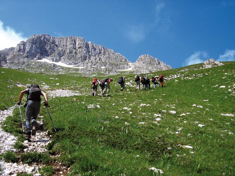 PARCO SIRENTE VELINO: NATURA, SENTIERI E CICLABILI. D’AMORE, “GRANDI PASSI PER OFFERTA TURISTICA” | Notizie di cronaca